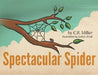 Spectacular Spider by C. R. Miller