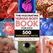 The Fascinating Human Body Book for Kids: 500 Phenomenal Facts! by Donna M. Bozzone