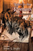 Letter to the Romans: A Bible Study Commentary by Frank L. Trujillo