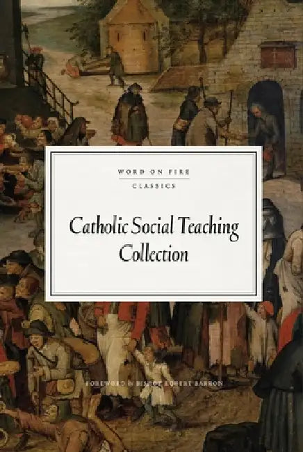 Catholic Social Teaching Collection by Matthew Becklo, Daniel Seseske, Robert Barron