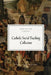 Catholic Social Teaching Collection by Matthew Becklo, Daniel Seseske, Robert Barron