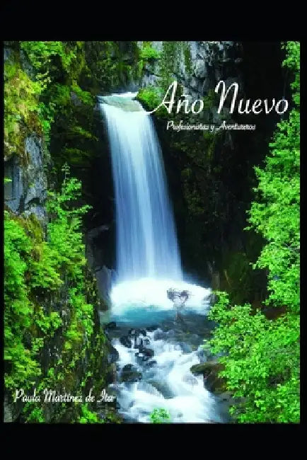 Año Nuevo by Martinez de Ita, Paula