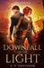 The Dark Sun: The Downfall of the Light by Z. P. Davidson