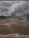 Geyser at Yellowstone by Dyngus Publishing