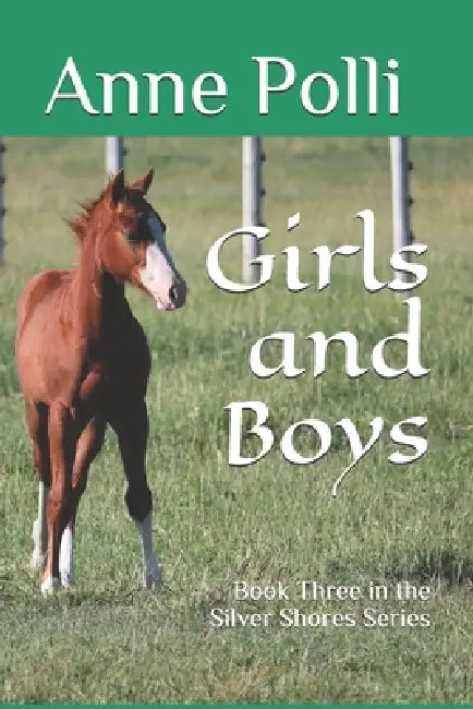 Girls and Boys: Book Three in the Silver Shores Series by Anne Polli