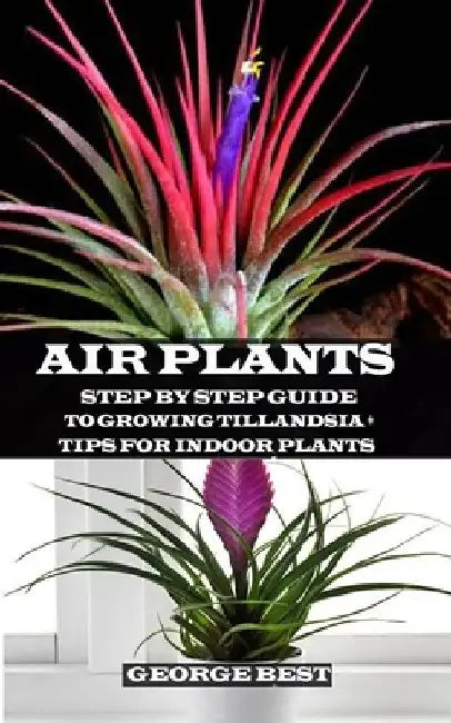 Air Plant: Step by Step Guide to Growing Tillandsia + Tips for Indoor Plants by George Best