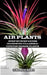 Air Plant: Step by Step Guide to Growing Tillandsia + Tips for Indoor Plants by George Best