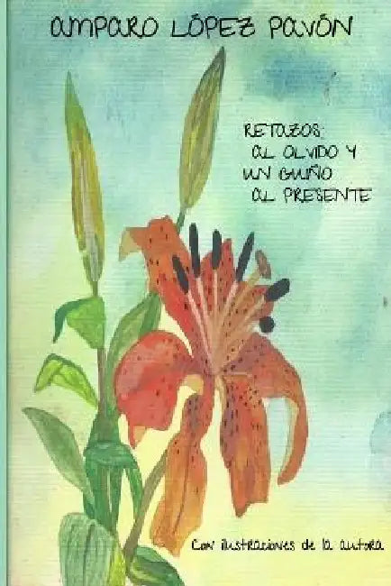 Retazos al olvido y un guiño al presente: Con ilustraciones de la autora by Amparo López Pavón