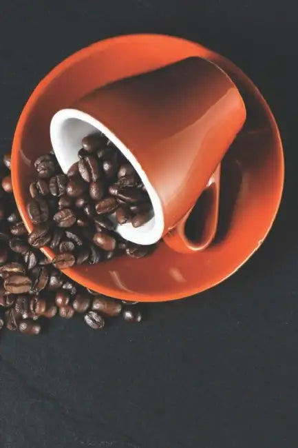 Kaffee Tasting Buch: Dein persönliches Verkostungsbuch zum selber ausfüllen ♦ für über 100 verschiedene Kaffeesorten ♦ Egal ob by Msed Notizbucher