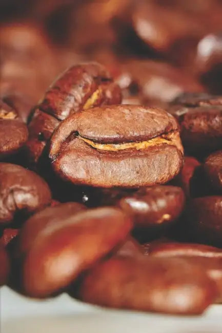 Kaffee Tasting Buch: Dein persönliches Verkostungsbuch zum selber ausfüllen ♦ für über 100 verschiedene Kaffeesorten ♦ Egal ob by Msed Notizbucher