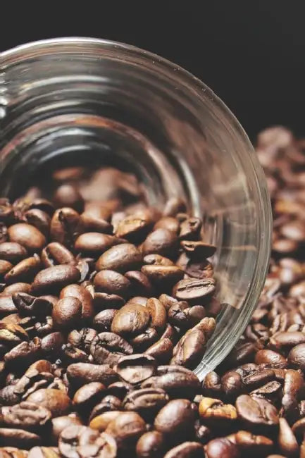 Kaffee Tasting Buch: Dein persönliches Verkostungsbuch zum selber ausfüllen ♦ für über 100 verschiedene Kaffeesorten ♦ Egal ob by Msed Notizbucher