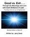 Good vs.Evil . . .: Through the Blessings and Love with God's Brilliance of Light . . . Providing Tools for Enlightenment by Jerry Davis