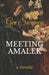 Meeting Amalek by Gev Sweeney