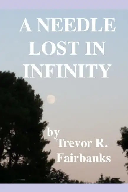 A Needle Lost in Infinity by Trevor R. Fairbanks