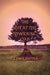 The Hut at the Towering Oak by Erin L. Snyder