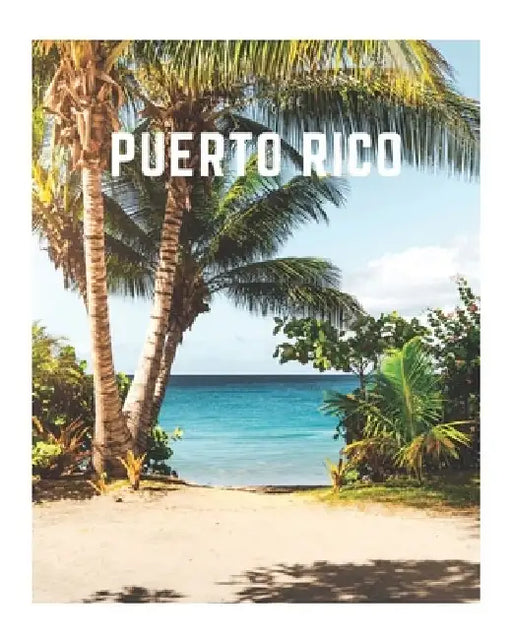 Puerto Rico: A Decorative Book - Perfect for Coffee Tables, Bookshelves, Interior Design & Home Staging by Decora Book Co