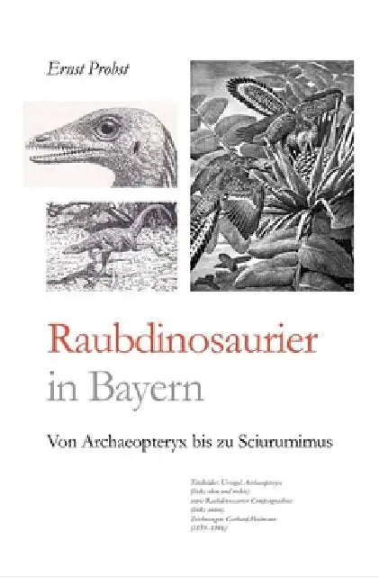 Raubdinosaurier in Bayern: Von Archaeopteryx bis zu Sciurumimus by Probst, Ernst