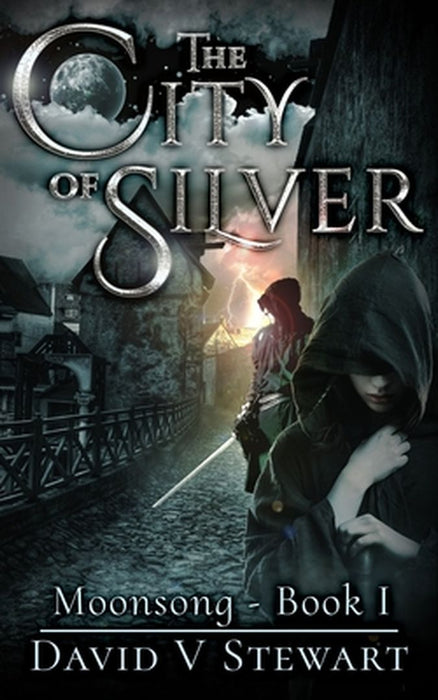 The City of Silver by Stewart, David V.