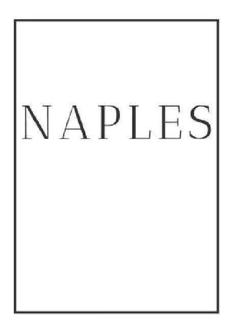 Naples: A decorative book for coffee tables, end tables, bookshelves and interior design styling Stack Italy city books to add by Contemporary Interior Design