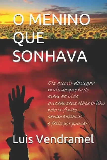 O Menino Que Sonhava by Vendramel, Luis