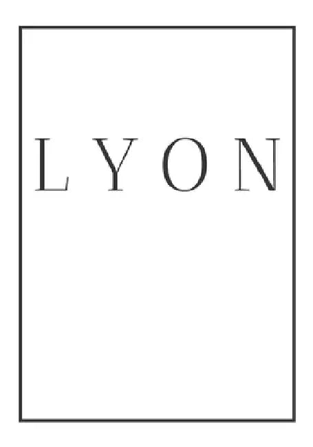 Lyon: A decorative book for coffee tables, end tables, bookshelves and interior design styling Stack France city books to ad by Contemporary Interior Design