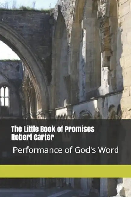 The Little Book of Promises: Who we are and where we came from by Robert Carter