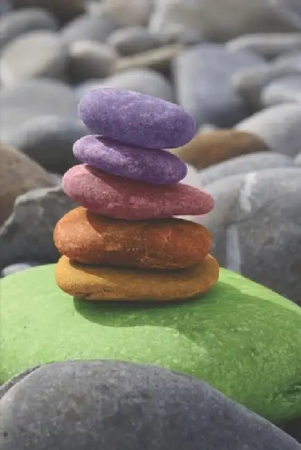 Achtsamkeitstagebuch: Notiere und plane deine täglichen Meditationen ♦ Sammle und fokussiere deine Gedanken ♦ Finde innere Ruhe by Notizbucher, Msed