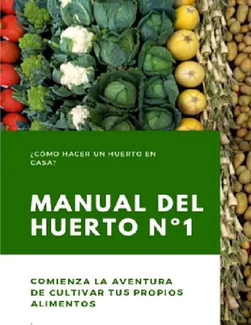 Manual del Huerto N°1: ¿Cómo hacer un huerto en casa? Comienza la aventura de cultivar tus propios alimentos by Gutiérrez, Margarita