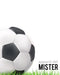 Appunti del Mister: Per annotare gli schemi, i giocatori, le strategie e i risultati degli incontri. Con grafico del campo su ogni pagina! Regalo perf by Design, Dadamilla