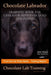 Chocolate Labrador Training Book for Labrador Retriever Dogs and puppies By D!G THIS DOG Training: From the Car Ride Home Training Begins Chocolate La by Doug K. Naiyn