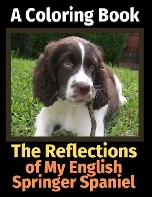 The Reflections of My English Springer Spaniel: A Coloring Book by Brightview Activity Books