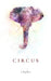 Circus by Z. Hyder