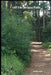 Off the Beaten Path: Wilderness Adventure Book by Melody Seelye