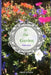 In the Garden by Heidi Skinner