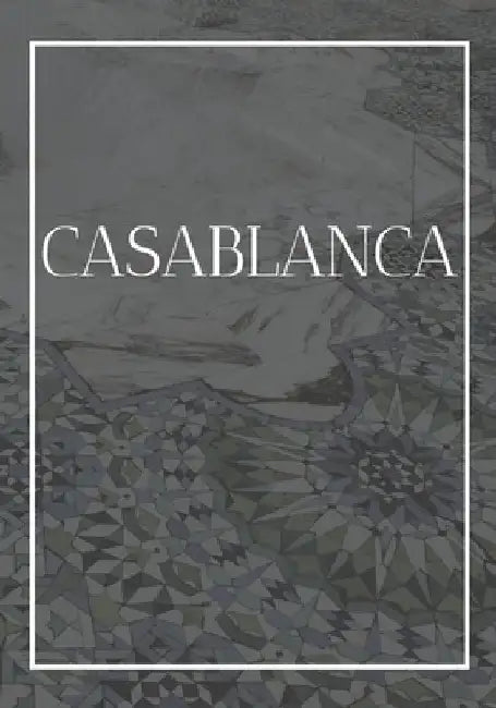 Casablanca: A decorative book for coffee tables, bookshelves, bedrooms and interior design styling: Stack International city books by Contemporary Interior Design