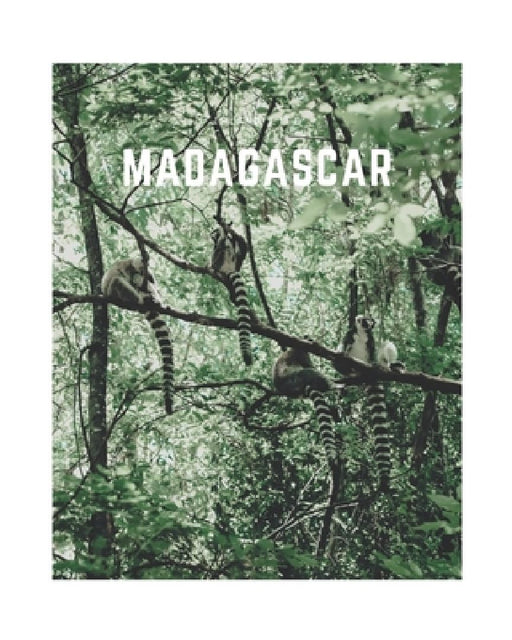 Madagascar: A Decorative Book - Perfect for Coffee Tables, Bookshelves, Interior Design & Home Staging by Decora Book Co