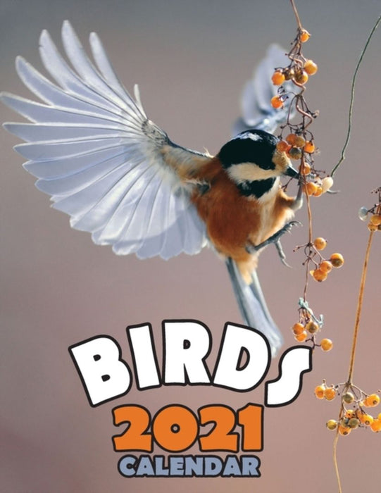 Birds 2021 Calendar by Wall Publishing