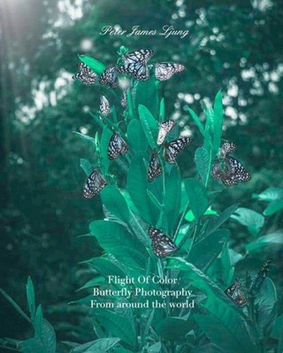 Flight of colorButterfly Photographers by Peter James Ljung