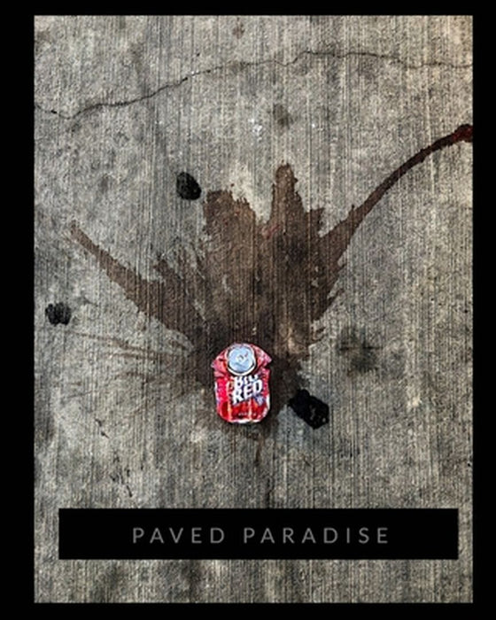 Paved Paradise by Malinda M. Julien Cr Photog Cpp