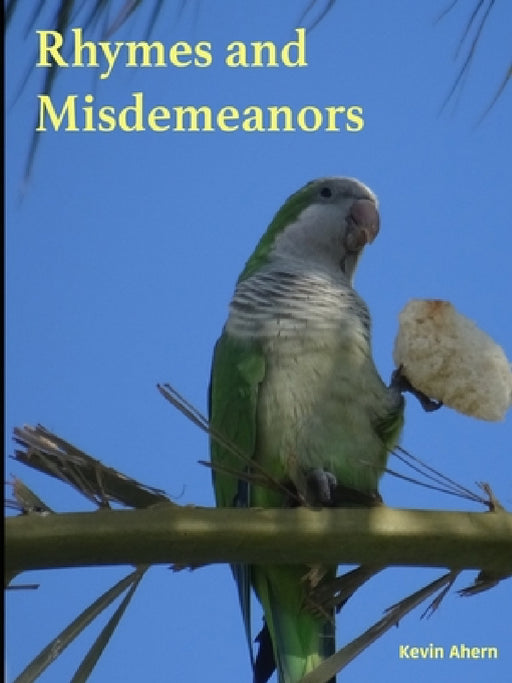 Rhymes and Misdemeanors by Kevin Ahern