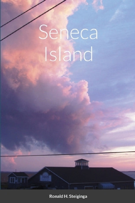 Seneca Island by Ronald H. Steiginga