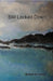 Still Locked Down: Bootleg Still by Michael Schepers