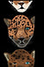 Mindbook: Jaguars by Dawn Avalon