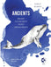 Middle Grades Ancients - Maps & Rubrics: History Connections by Sumaia B. Michel