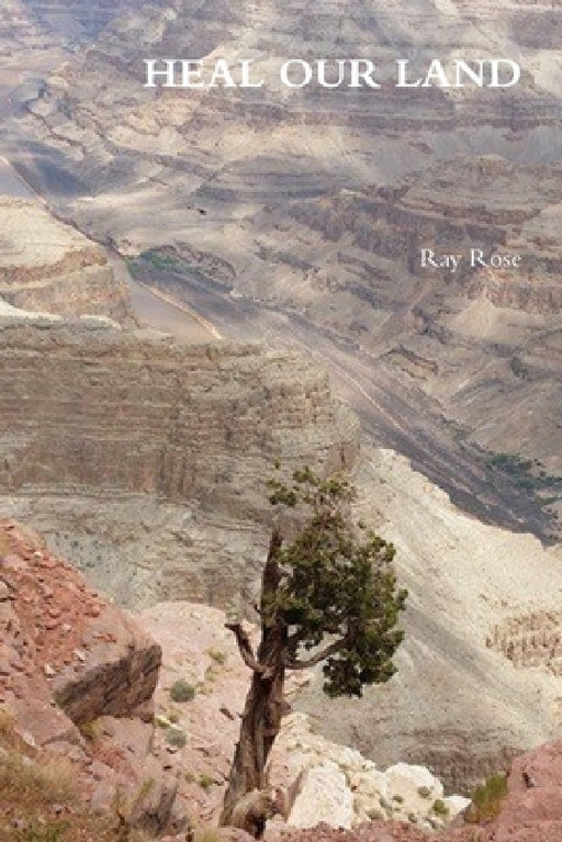 Heal Our Land by Ray Rose