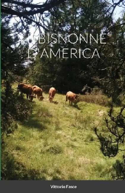 Le Bisnonne d'America by Vittorio Fasce