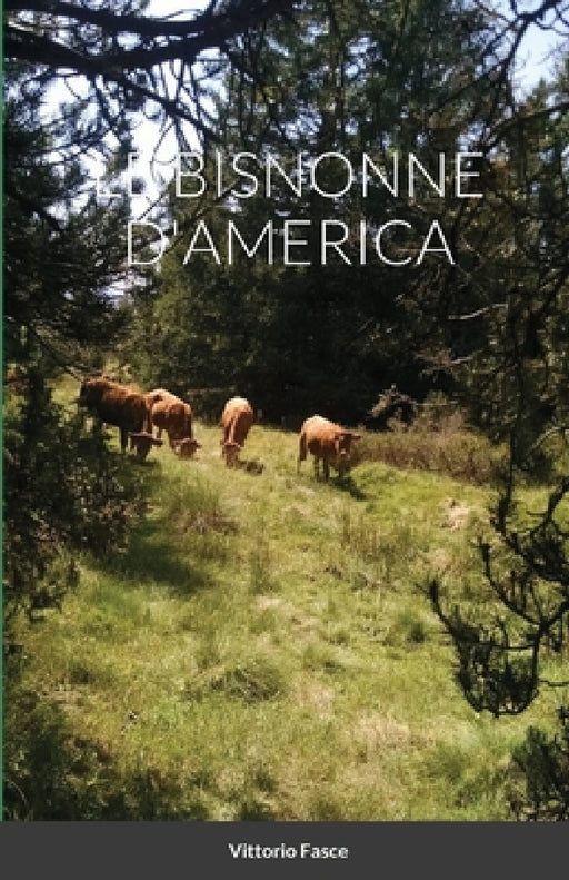 Le Bisnonne d'America by Vittorio Fasce