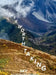 A Journey Worth Taking by Sky York