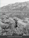 Where the Desert Meets the Mountains: A descriptive Geography of Western Imperial Valley and Eastern San Diego County - A Historical Perspective from by Reynaldo Ayala
