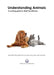 Understanding Animals: A Working Guide for Reiki Practitioners by Sue Malcolm